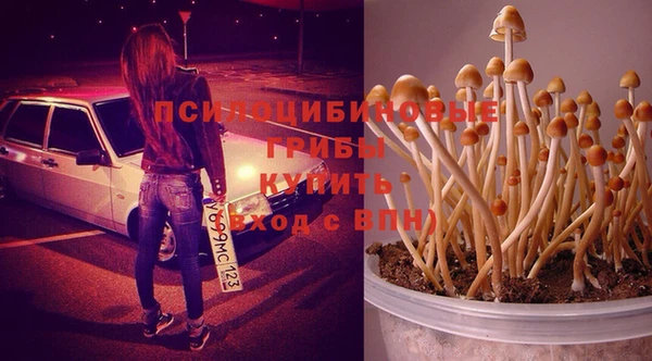 дурь Алексин