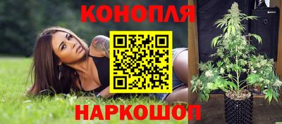 скорость Новодвинск