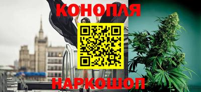наркотики Новозыбков