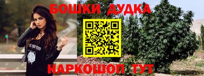 наркотики Новозыбков