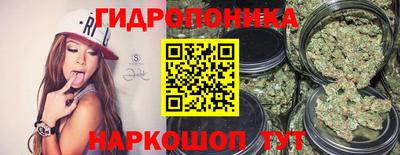 наркотики Новозыбков