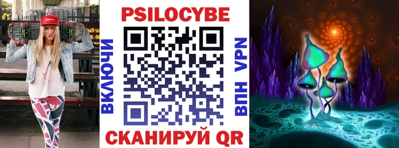 Псилоцибиновые грибы MAGIC MUSHROOMS  где купить наркоту  Волхов 