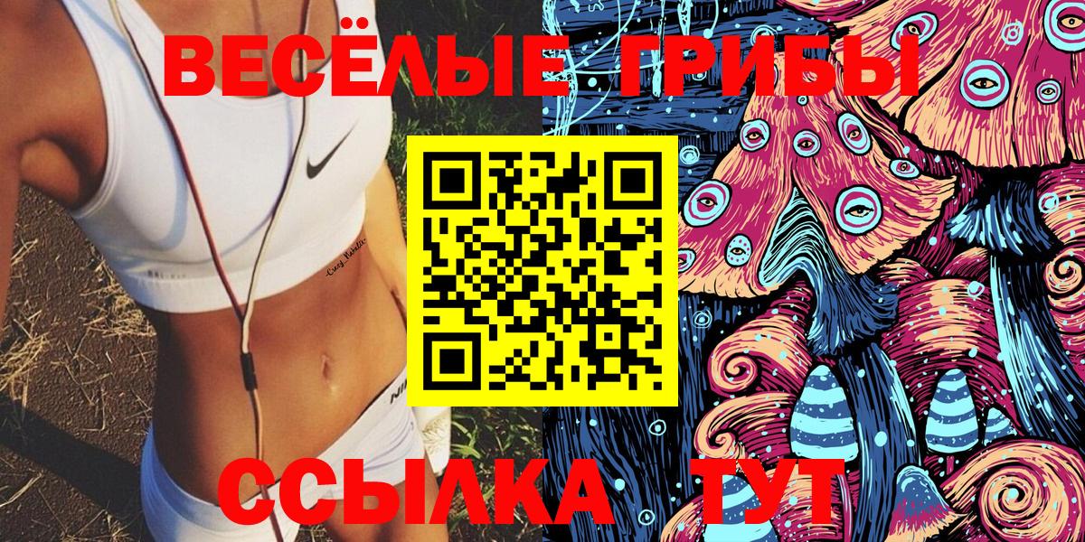 Галлюциногенные грибы Psilocybe  Вход с VPN  Волхов 
